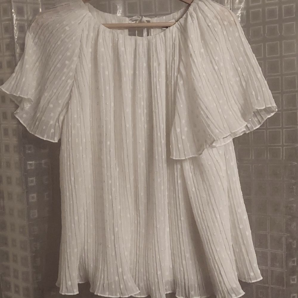 Lewit White Chiffon Swiss Dot Blouse